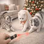 2-in-1 Mini LED Laser Pointer and Flashlight Pet Toy