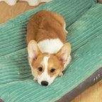 Cozy & Supportive Orthopedic Dog Bed for Restful Nights